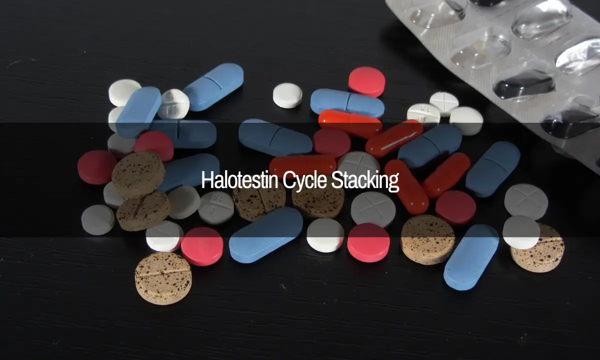 Halotestin Cycle Stacking