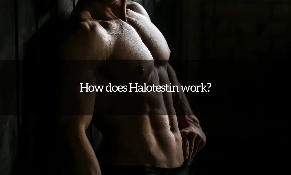 How does Halotestin work?