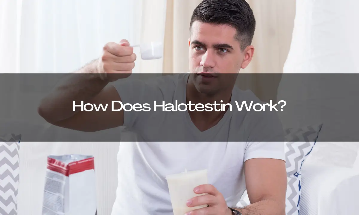 How Does Halotestin Work?